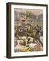 Acrobats Falls, Lion Cage-A. Beltrame-Framed Art Print