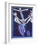 Acrobats on a Bicycle-Leslie Xuereb-Framed Giclee Print