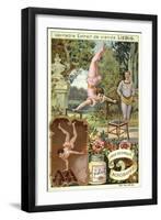 Acrobats-null-Framed Giclee Print