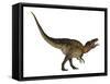 Acrocanthosaurus Dinosaur on White Background-Stocktrek Images-Framed Stretched Canvas