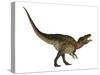 Acrocanthosaurus Dinosaur on White Background-Stocktrek Images-Stretched Canvas