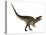 Acrocanthosaurus Dinosaur on White Background-Stocktrek Images-Stretched Canvas