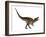 Acrocanthosaurus Dinosaur on White Background-Stocktrek Images-Framed Art Print