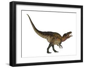 Acrocanthosaurus Dinosaur on White Background-Stocktrek Images-Framed Art Print