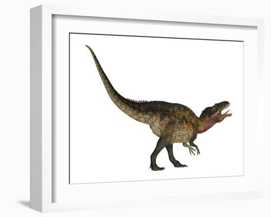 Acrocanthosaurus Dinosaur on White Background-Stocktrek Images-Framed Art Print