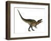 Acrocanthosaurus Dinosaur on White Background-Stocktrek Images-Framed Art Print