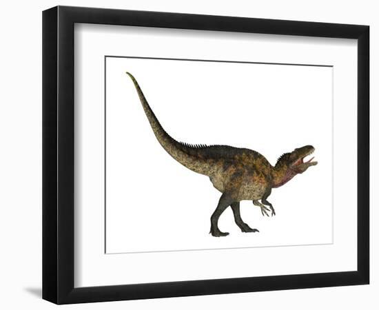 Acrocanthosaurus Dinosaur on White Background-Stocktrek Images-Framed Art Print