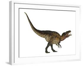 Acrocanthosaurus Dinosaur on White Background-Stocktrek Images-Framed Art Print