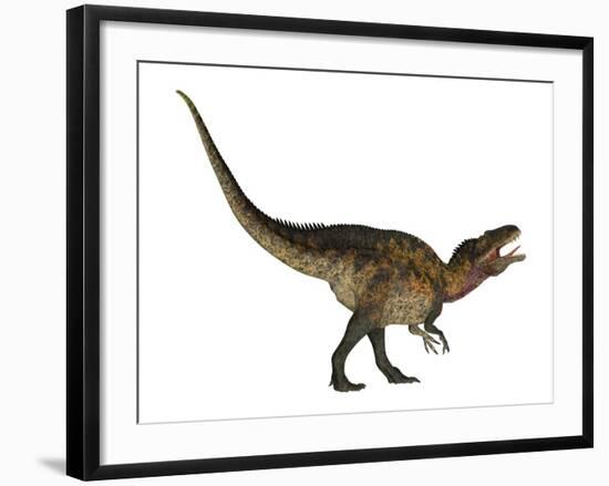 Acrocanthosaurus Dinosaur on White Background-Stocktrek Images-Framed Art Print