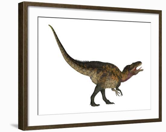 Acrocanthosaurus Dinosaur on White Background-Stocktrek Images-Framed Art Print