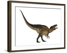 Acrocanthosaurus Dinosaur on White Background-Stocktrek Images-Framed Art Print