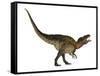 Acrocanthosaurus Dinosaur on White Background-Stocktrek Images-Framed Stretched Canvas