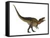 Acrocanthosaurus Dinosaur on White Background-Stocktrek Images-Framed Stretched Canvas