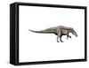 Acrocanthosaurus Dinosaur-null-Framed Stretched Canvas