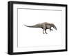 Acrocanthosaurus Dinosaur-null-Framed Art Print