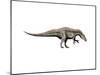 Acrocanthosaurus Dinosaur-null-Mounted Art Print