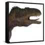 Acrocanthosaurus Portrait on White Background-Stocktrek Images-Framed Stretched Canvas