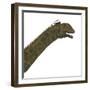 Acrocanthosaurus Portrait on White Background-Stocktrek Images-Framed Art Print