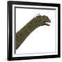 Acrocanthosaurus Portrait on White Background-Stocktrek Images-Framed Art Print