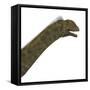 Acrocanthosaurus Portrait on White Background-Stocktrek Images-Framed Stretched Canvas