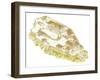 Acropolis, Athens-Fernando Aznar Cenamor-Framed Giclee Print