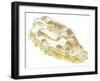 Acropolis, Athens-Fernando Aznar Cenamor-Framed Giclee Print