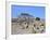 Acropolis, Selinunte, Sicily, Italy-Peter Thompson-Framed Photographic Print