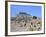 Acropolis, Selinunte, Sicily, Italy-Peter Thompson-Framed Photographic Print