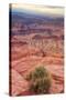 Across Dead Horse Point-Vincent James-Stretched Canvas