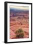 Across Dead Horse Point-Vincent James-Framed Photographic Print