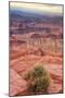 Across Dead Horse Point-Vincent James-Mounted Photographic Print