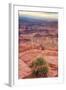 Across Dead Horse Point-Vincent James-Framed Photographic Print