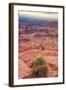 Across Dead Horse Point-Vincent James-Framed Photographic Print