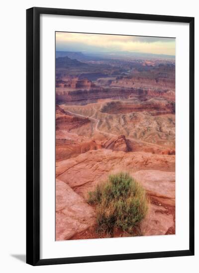 Across Dead Horse Point-Vincent James-Framed Photographic Print