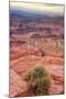 Across Dead Horse Point-Vincent James-Mounted Photographic Print