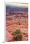 Across Dead Horse Point-Vincent James-Framed Photographic Print