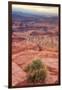 Across Dead Horse Point-Vincent James-Framed Photographic Print