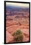 Across Dead Horse Point-Vincent James-Framed Photographic Print