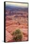 Across Dead Horse Point-Vincent James-Framed Stretched Canvas