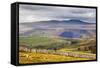 Across Ribblesdale to Ingleborough from Above Stainforth Near Settle, Yorkshire Dales, Yorkshire-Mark Sunderland-Framed Stretched Canvas