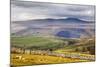 Across Ribblesdale to Ingleborough from Above Stainforth Near Settle, Yorkshire Dales, Yorkshire-Mark Sunderland-Mounted Photographic Print