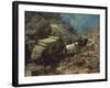 Across the Big Divide-Frank Tenney Johnson-Framed Art Print