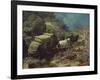 Across the Big Divide-Frank Tenney Johnson-Framed Art Print