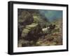 Across the Big Divide-Frank Tenney Johnson-Framed Art Print