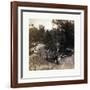 Across the Continent on the Union Pacific Railway-null-Framed Giclee Print