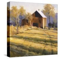 Across the Field-David Marty-Stretched Canvas