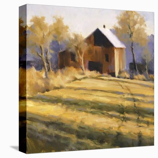 Across the Field-David Marty-Stretched Canvas