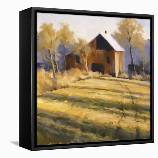 Across the Field-David Marty-Framed Stretched Canvas