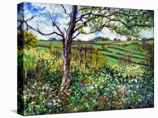 Across The Fields-Tilly Willis-Stretched Canvas