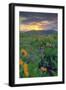 Across the Flower Field at Sunrise, Rowena Plateau-Vincent James-Framed Photographic Print